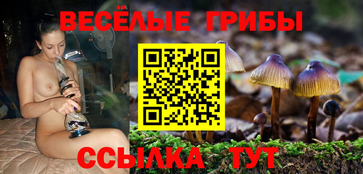 Псилоцибиновые грибы мицелий Тайшет