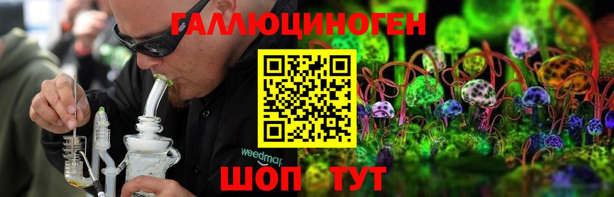 Галлюциногенные грибы GOLDEN TEACHER  Вход с VPN  Тайшет 